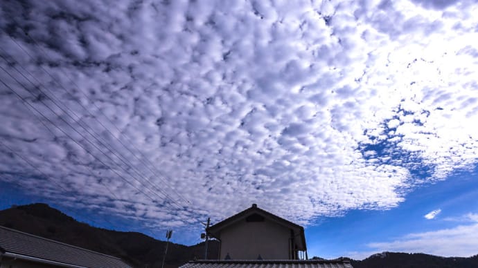 ひつじ雲とそれによる彩雲（2023年2月）