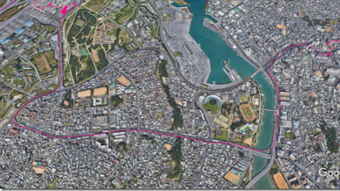 コロナをかいくぐって 3月22日 ファーストクラスで帰京