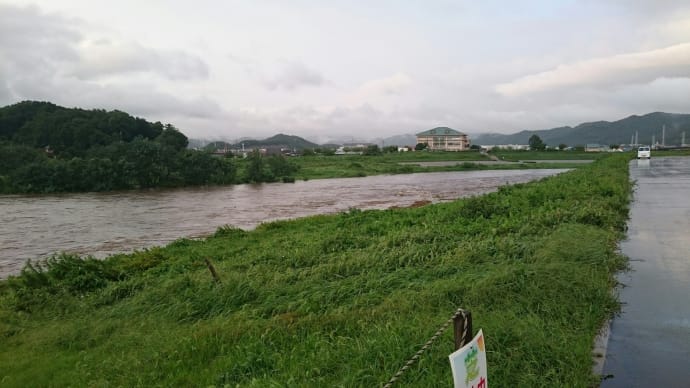 渡良瀬川 田中橋 下 岩井山付近