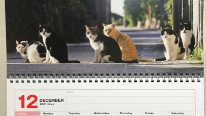 12月1日(水)今年もあと一月