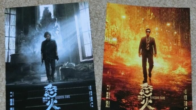元旦からドニー・イェンごっこ!?