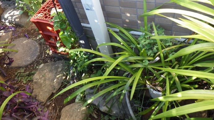 足場の解体作業で水栓柱が壊れた話・・・千葉市