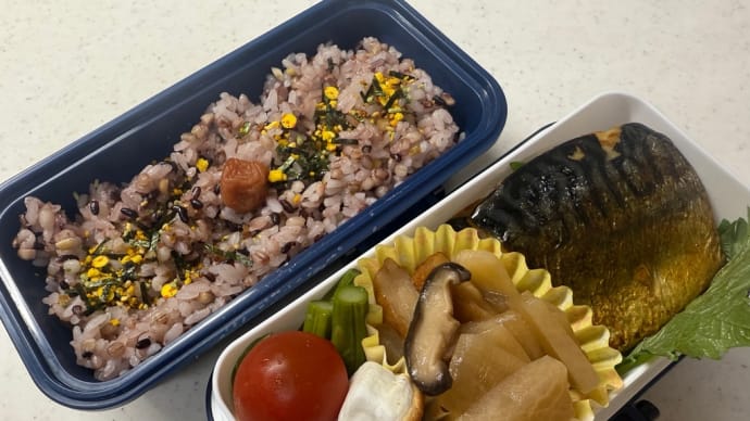 5月29日のお弁当