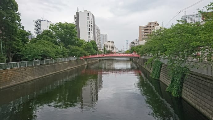 ネタ帳?、足裏/土踏まず/ヒラメ