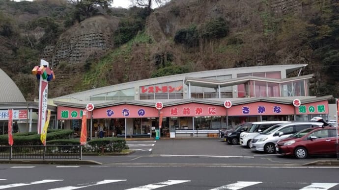 道の駅えちぜん「うおいち」で水がに!