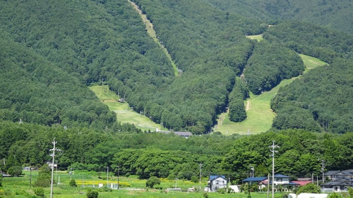 入笠湿原・入笠山　2022.7.31　＠長野県富士見町