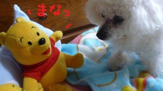 今日も真夏日で暑い~ ヾ(;´▽`A`` お天気は下り坂ね…