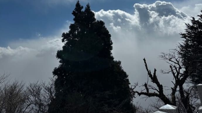 大山📸