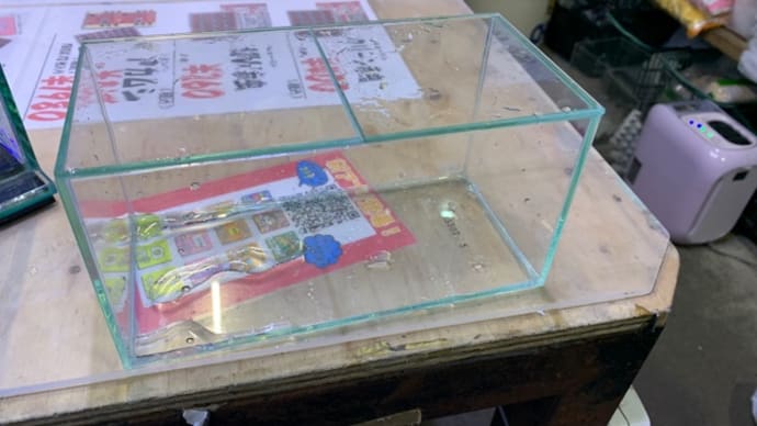 中古 GEX グラステリアFit 200×100×100