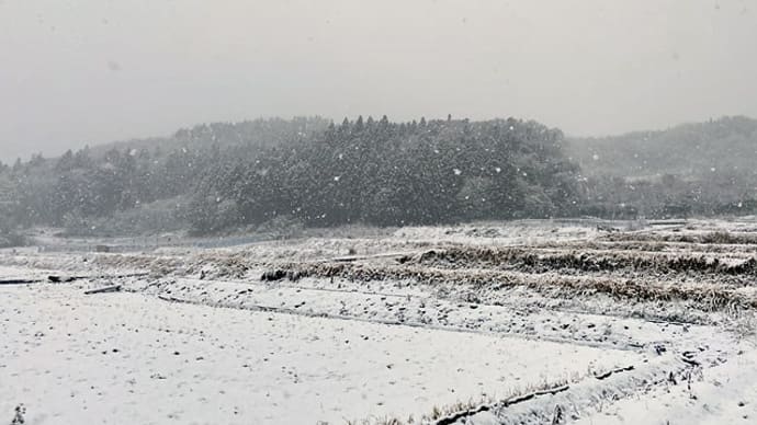 今日の川場村 2020.1.21