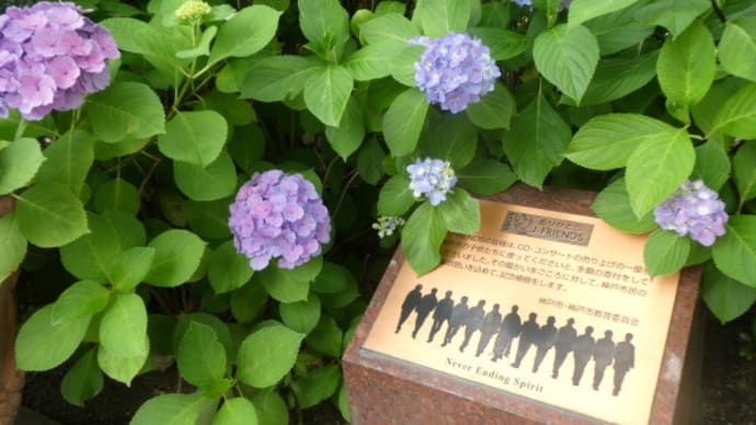神戸市市役所近くの「J-FRIENDへの感謝の意を示した記念碑」　on　2023-6-6＆11-9