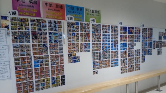 バス遠足の写真販売📷♥