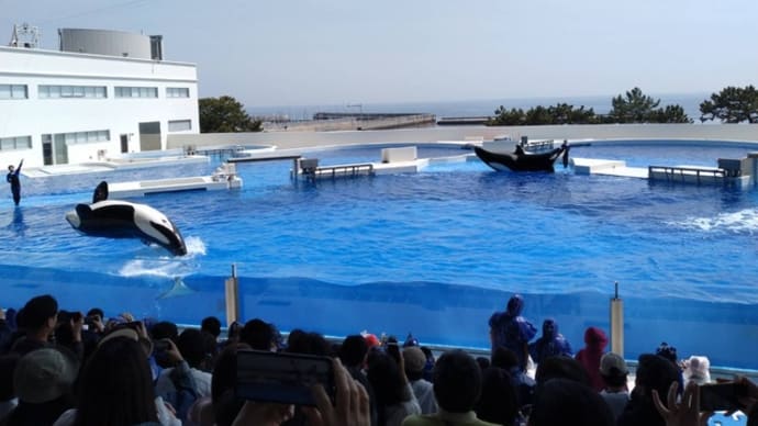 ラヒホで行く須磨シーワールド