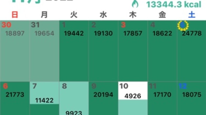 11月の歩数記録・・・
