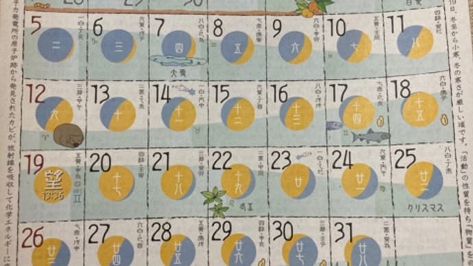 ◉ 12月の出没予定 2021 ◉