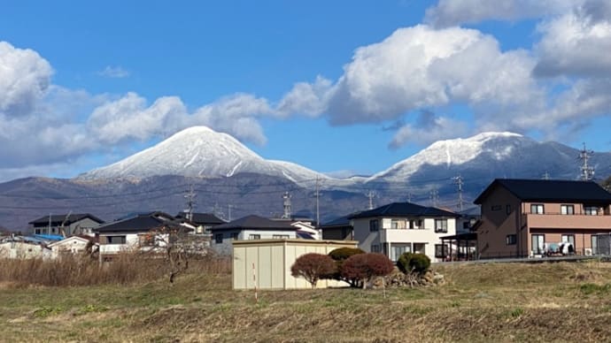 ももちゃんとこの里芋!&3日お休みします
