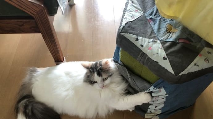 逃走失敗