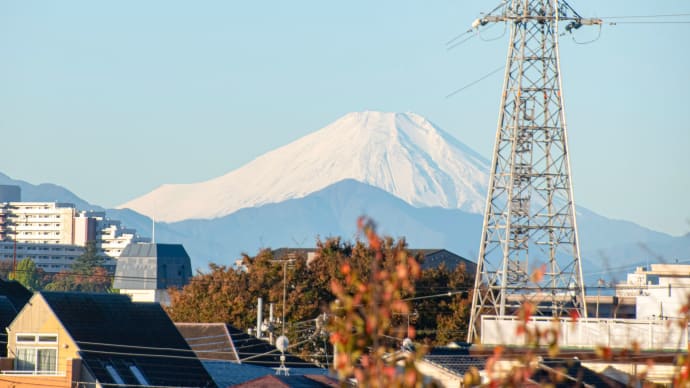 東伏見公園で撮影の富士山