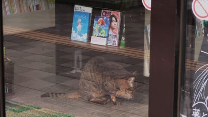 ある日のメロンちゃん③