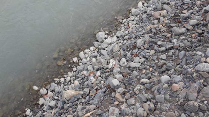 静岡清流採集2