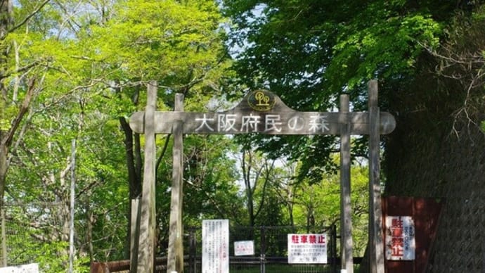あきぐみ管理道を歩く