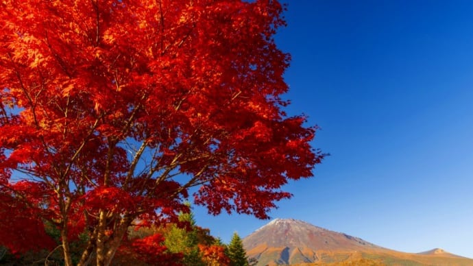 2023 西臼塚と富士桜墓地公園の紅葉