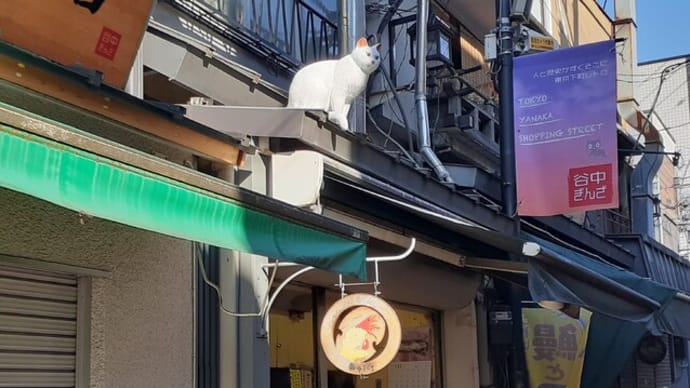 七面坂の工事が進む。