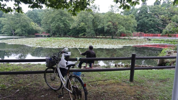 ふるさとの夏の光景