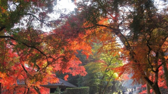 11月が過ぎていった