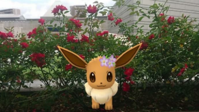 花付き イーブイ