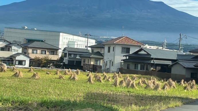 介護タクシーにて一緒にお買い物