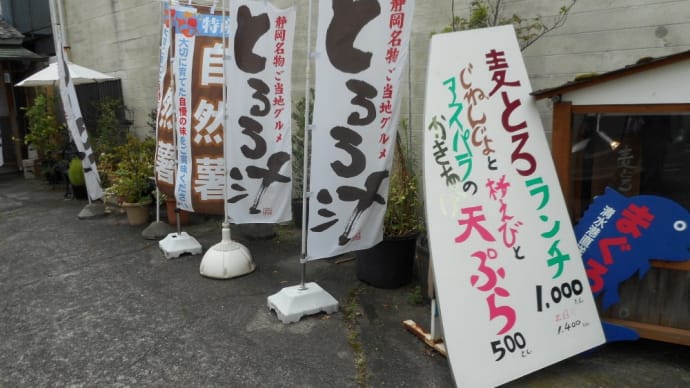 静岡市 丸子亭 まぜこぜとろろ丼、あげとろ