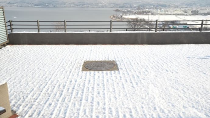 雪が降った!
