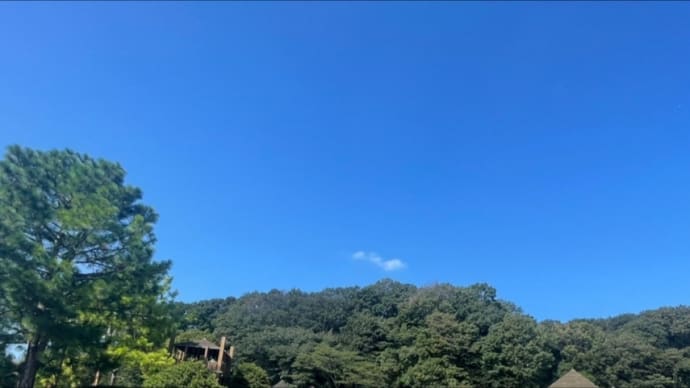 奇蹟ライブラリー〜健康・病気回復〜
