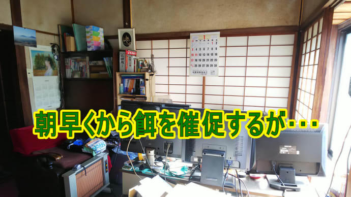 朝早くから餌を催促するが・・・