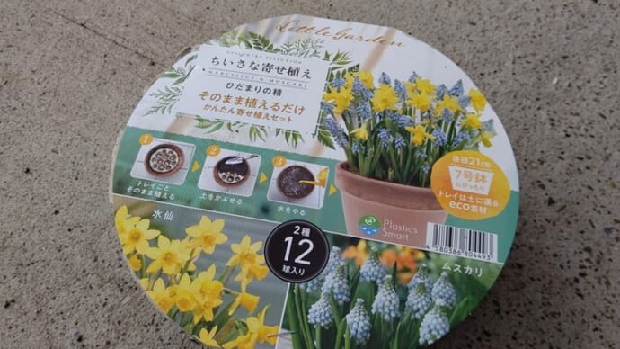 こんなの