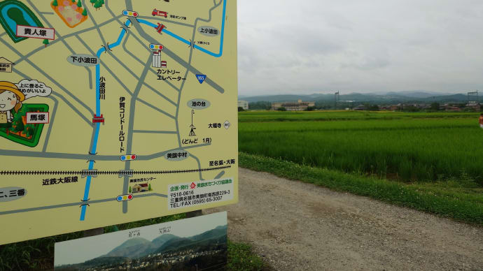 美旗(名張市ミハタ)でひまわり、そのまま「新田水路」探検へ。その1