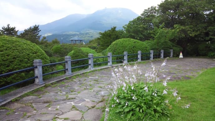 恩賜箱根公園後編2019/8/3現在