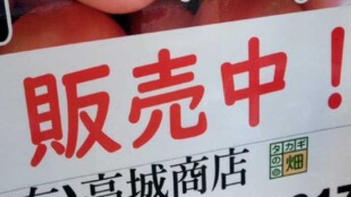 地場産トマト「りんか409」販売中!~国道413号高城商店