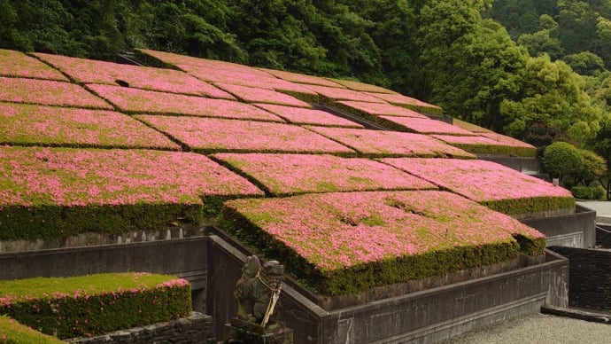 接近!サツキピンクの屋根~別子銅山記念館~