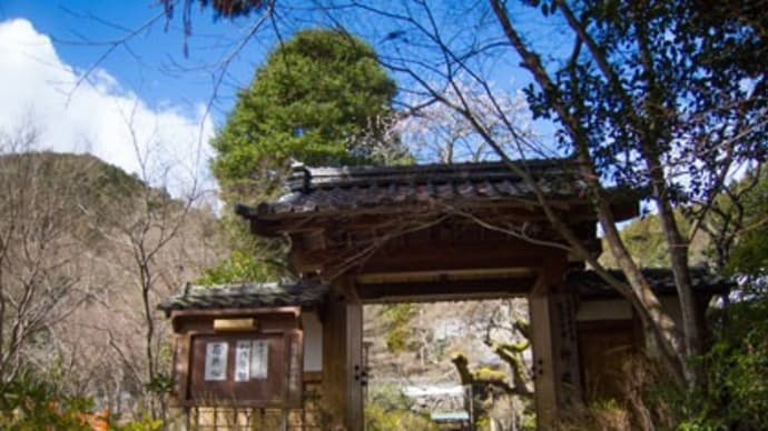 3月の神蔵寺(1)