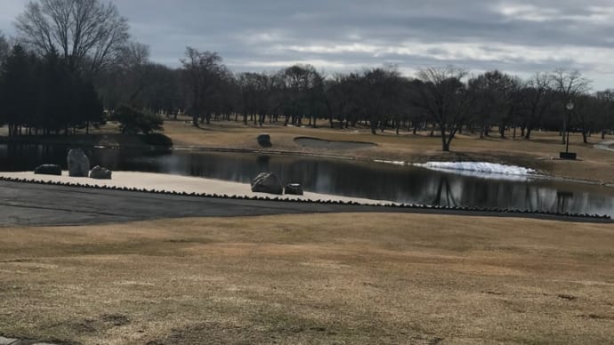 始まりました⛳️