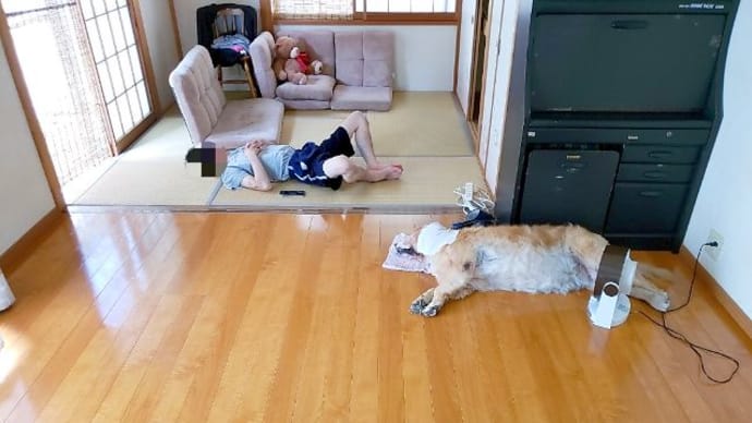 猛暑日のお出かけ 再び