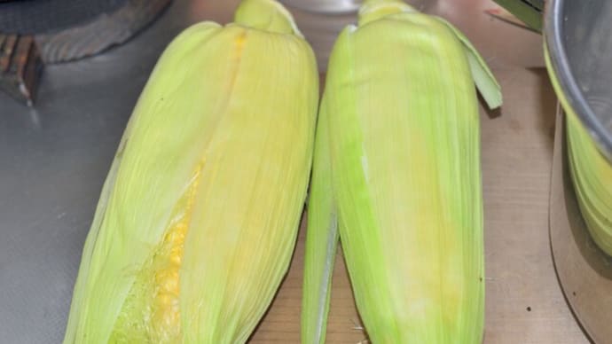 朝どれ野菜は処理を手早く