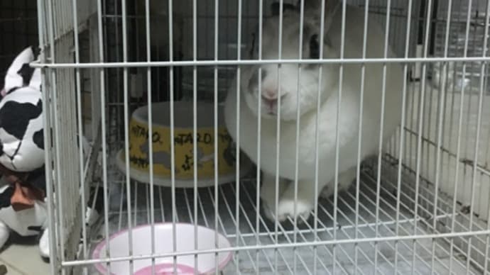 おはよう♫