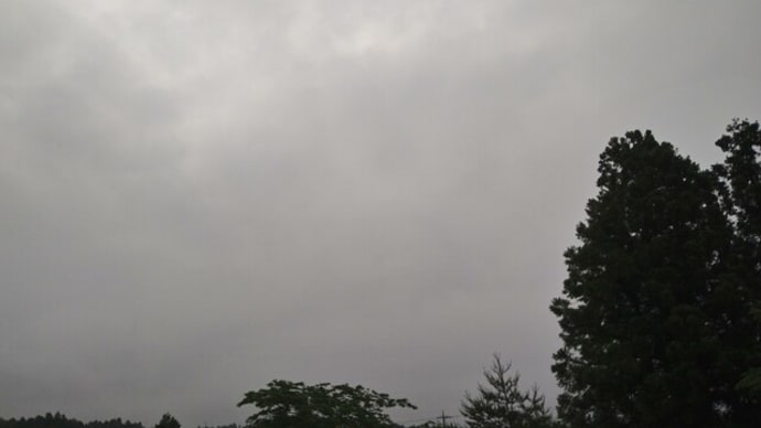 ヒマワリの種の空