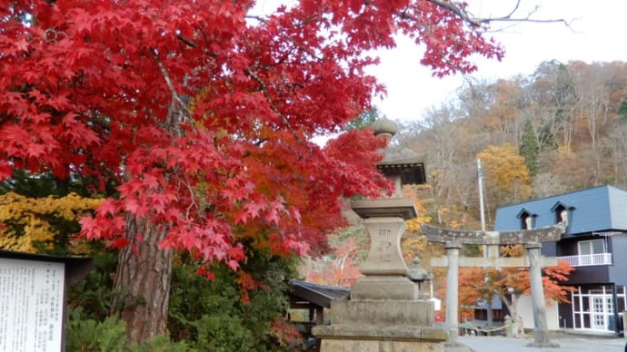 京の苗木を移植して作った紅葉の名所