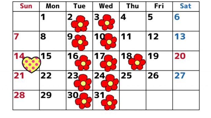 今年も 出てきました!つくし