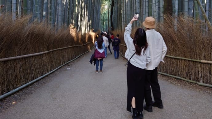 嵐山、竹林の小径を通って『御髪神社』へ。