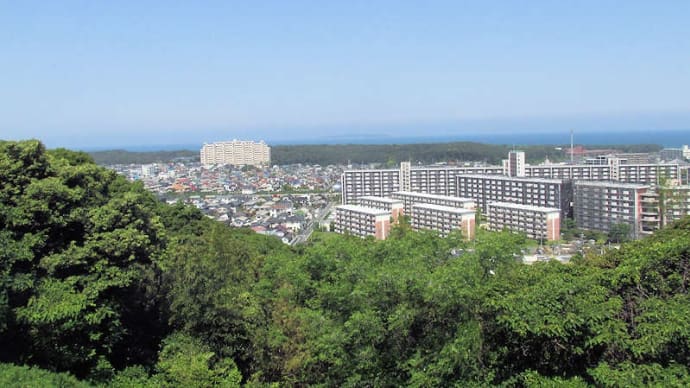 鹿部山 42